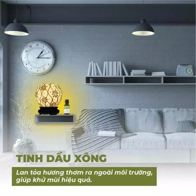 Tinh dầu hạt Mùi già - Hương của Quê nhà - 1
